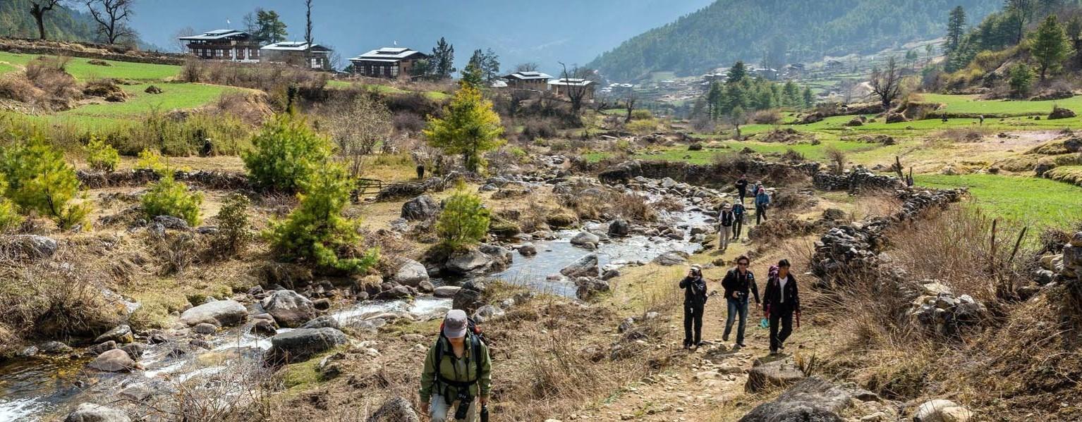 Gangtey Valley Trek