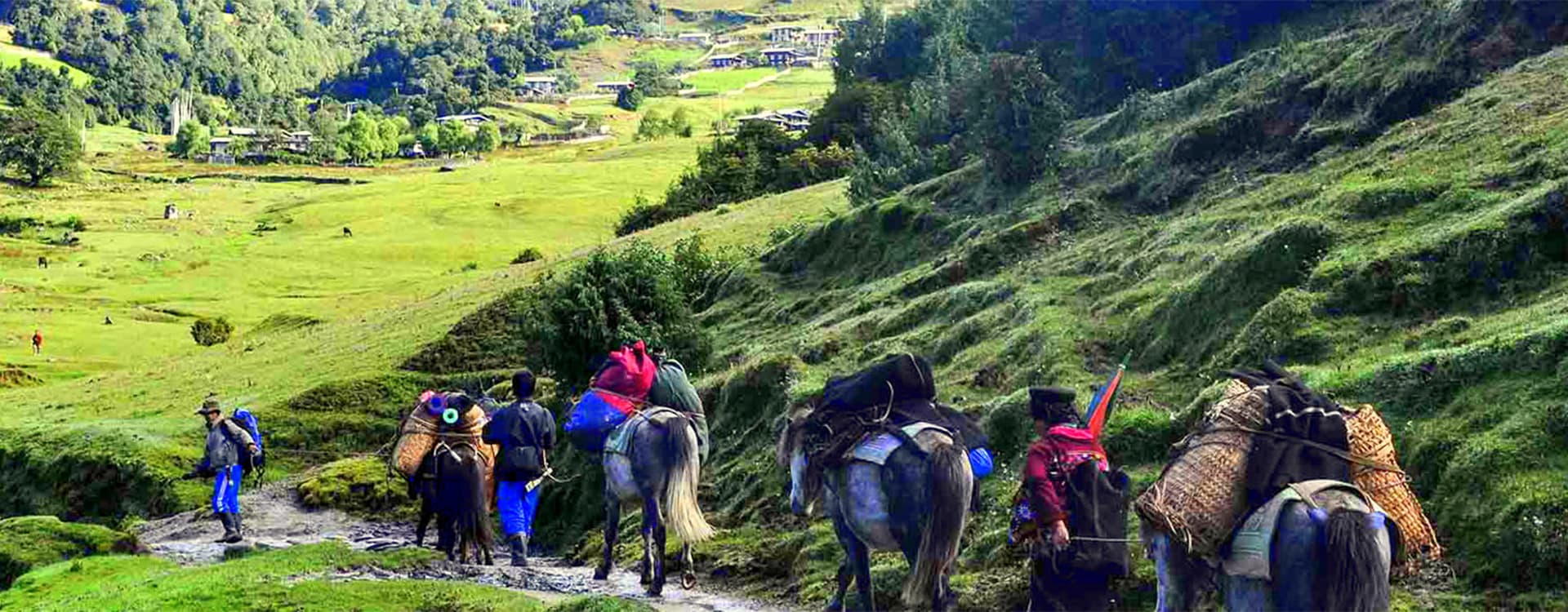 The Merak Sakteng Trek: Discover Bhutan's Remote Eastern Wilderness