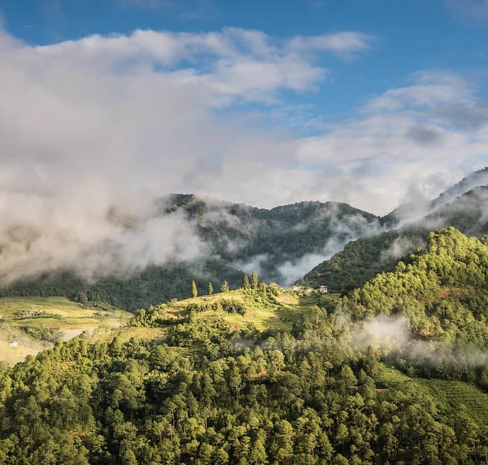 Laya Gasa Trek