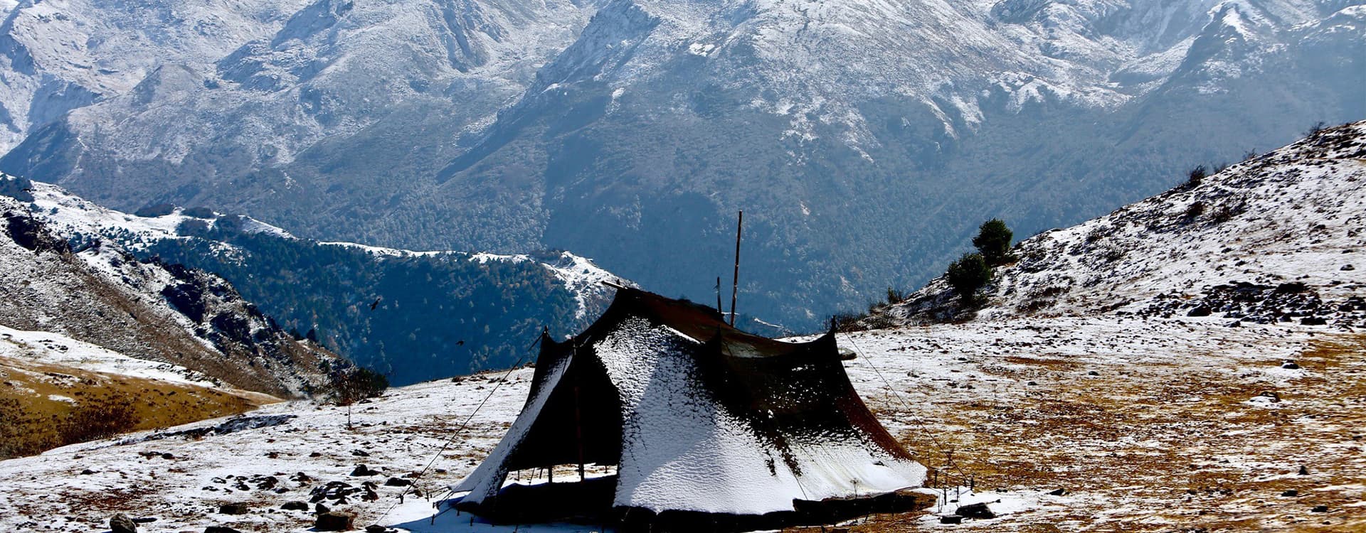 Druk Path Trekking